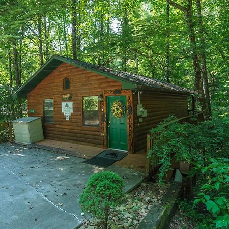 Beary Cozy Villa Пиджен Фордж Екстериор снимка
